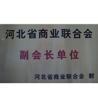 河北省商業聯合會副會長單位-酒店洗衣房設備