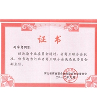 河北省商業聯合會洗滌業委員會副主任-洗滌機械